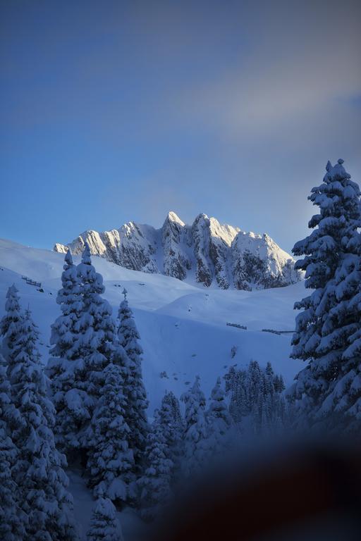 Catrina Lodge Disentis Buitenkant foto