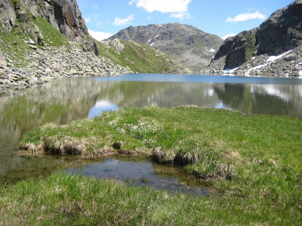 Catrina Lodge Disentis Buitenkant foto